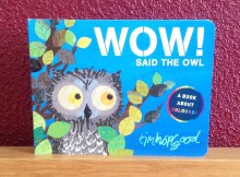 WOW! Said the Owl Book Review a mum reviews