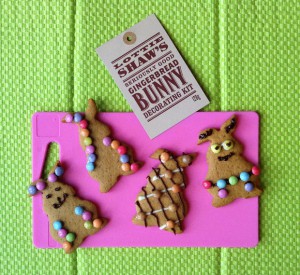 Lottie Shaw's Gingerbread Bunny Decorating Kit Review A Mum Reviews