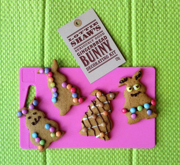 Lottie Shaw's Gingerbread Bunny Decorating Kit Review A Mum Reviews