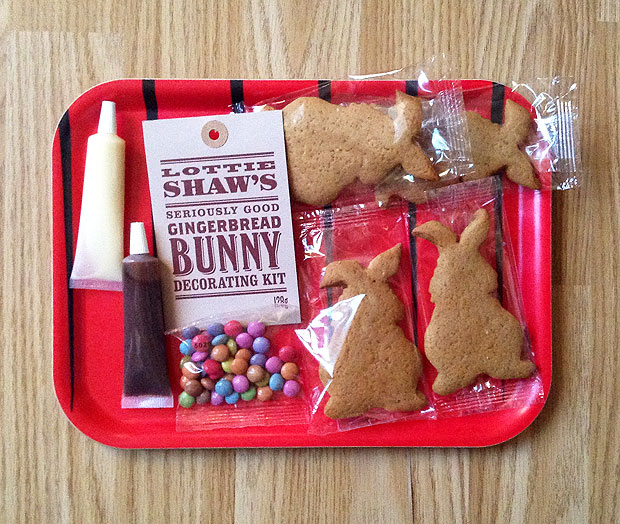 Lottie Shaw's Gingerbread Bunny Decorating Kit Review A Mum Reviews