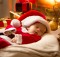 10 Tips To Get A Good Night's Sleep On Christmas Eve A Mum Reviews
