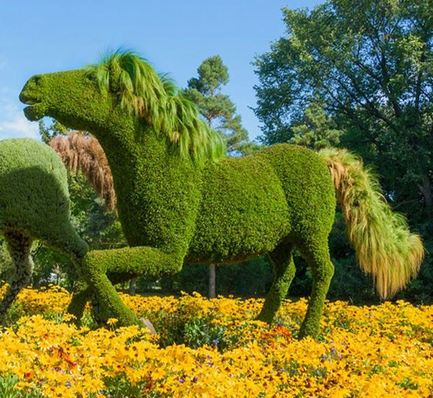 A More Fun Garden With Animal Topiary A Mum Reviews