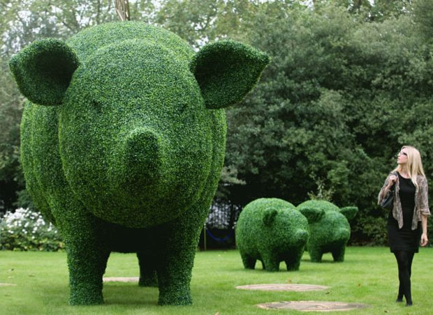 A More Fun Garden With Animal Topiary A Mum Reviews