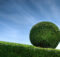 A More Fun Garden With Animal Topiary