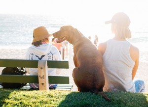 Simple, Natural Ways to Boost Your Mood – Guest Post A Mum Reviews