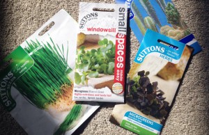What to Sow and Grow in October - Autumn/Winter Planting Tips A Mum Reviews