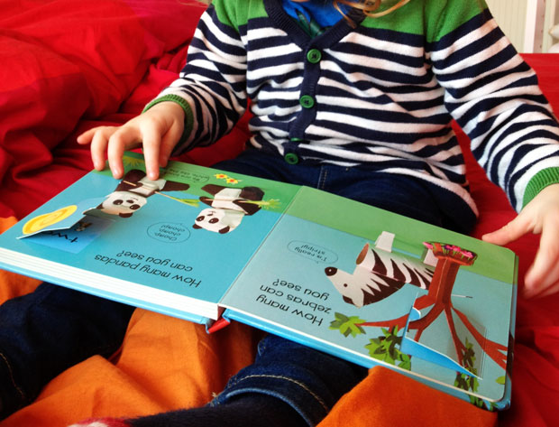 Animal Fun! A New Series Of Fun Board Books by Tracey Radford A Mum Reviews