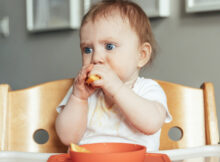 buyer's guide to wooden high chairs