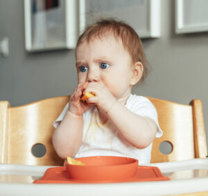 buyer's guide to wooden high chairs