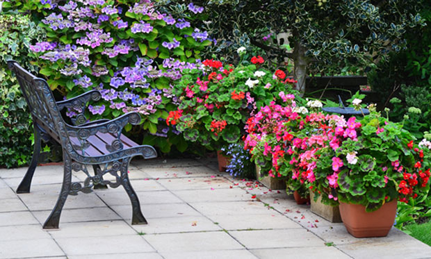 9 Tips to Master Low Maintenance Gardening A Mum Reviews