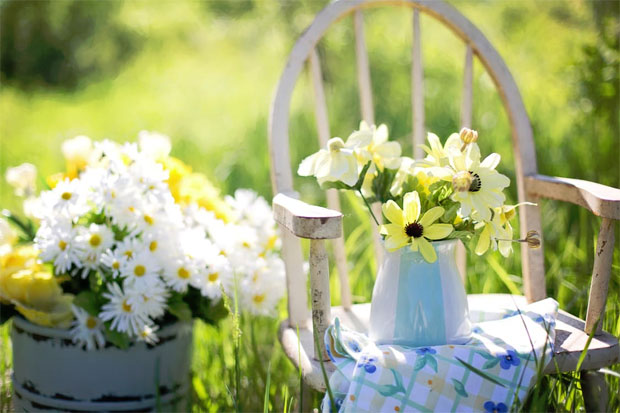 9 Tips to Master Low Maintenance Gardening A Mum Reviews