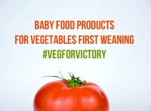 Baby Food Products & Brands for Vegetables First Weaning A Mum Reviews