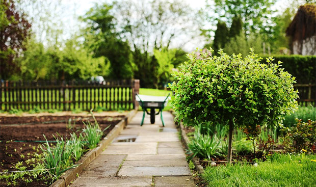 5 Ways to Make Your Garden More Eco-Friendly