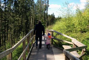 Bluestone National Park Resort Review Part 2 – Things To Do A Mum Reviews