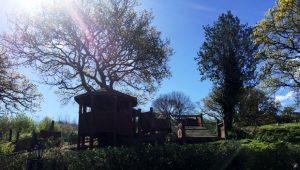 Bluestone National Park Resort Review Part 2 – Things To Do A Mum Reviews