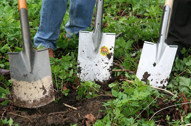 Can You Tame A New-Build Garden? Common Problems + Solutions A Mum Reviews