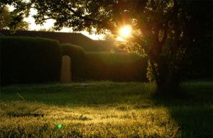 Garden State: Getting The Backyard Ready For Summer A Mum Reviews