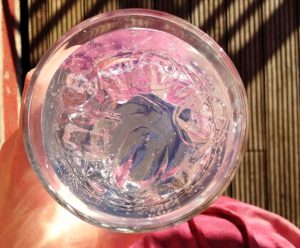 World Gin Day - Fishers Gin Review A Mum Reviews