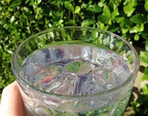 World Gin Day - Fishers Gin Review A Mum Reviews