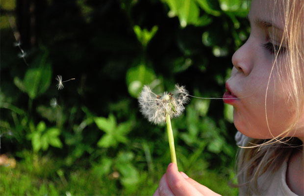 Get The Kids Outside By Making Your Garden A Safe Place To Play A Mum Reviews