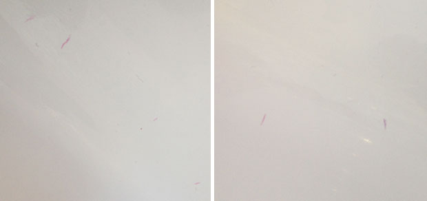 How to Remove Toy Marks from Bathtub in Seconds A Mum Reviews