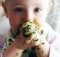 The Importance of Introducing Vegetables During Weaning A Mum Reviews