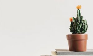 How to Make Your Home More Sophisticated A Mum Reviews