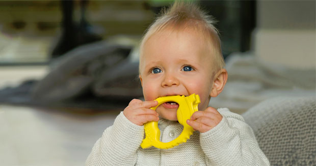 Review & Giveaway: Squidge & Pip Sensory Teething Toys A Mum Reviews