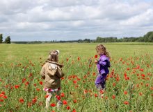 Organic Living with Children, Organic September & eco.kid A Mum Reviews