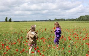 Organic Living with Children, Organic September & eco.kid A Mum Reviews