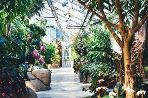 Plastic vs Glass Greenhouses – Which Should You Choose? A Mum Reviews