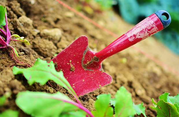  The 5 Essential Areas Every Family Garden Should Have A Mum Reviews