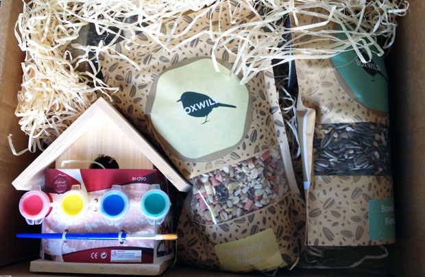  Boxwild Children’s Big Bird Gift Box Review A Mum Reviews