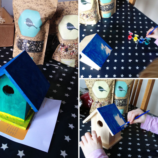  Boxwild Children’s Big Bird Gift Box Review A Mum Reviews