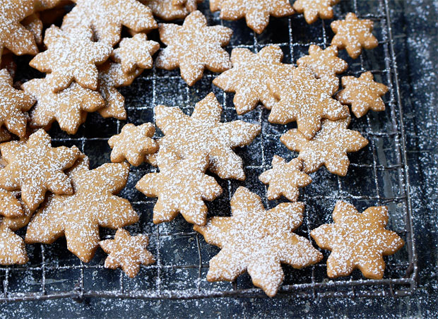 The Groovy Food Company Gingerbread Snowflake Biscuits A Mum Reviews