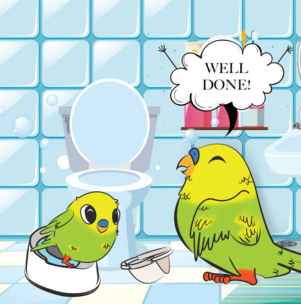 Little Budgie's Done A Fudgie - Potty Training Book A Mum Reviews