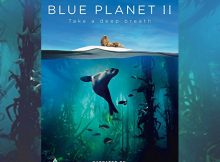 Giveaway: Win Blue Planet II on DVD! A Mum Reviews