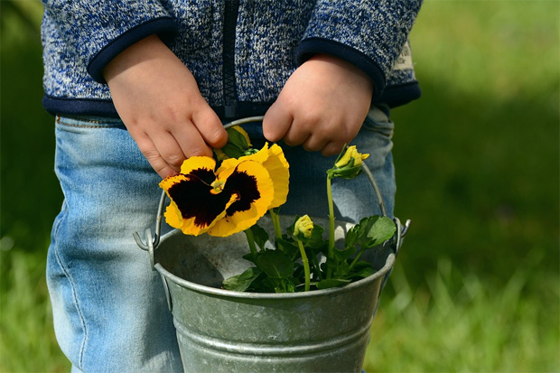 How to Make Your Garden Toddler-Proof A Mum Reviews