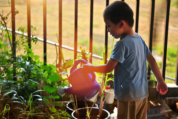 How to Make Your Garden Toddler-Proof A Mum Reviews