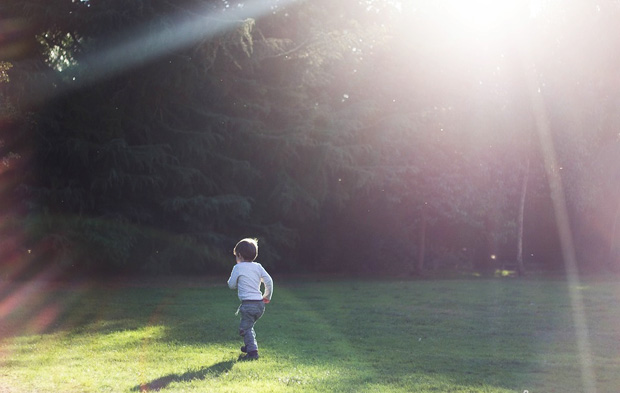 How to Make Your Garden Toddler-Proof A Mum Reviews