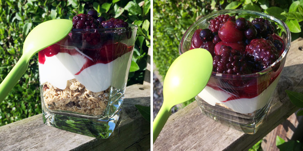 Recipe: Kefir-Quark & Berry Coulis Breakfast Pots A Mum Reviews