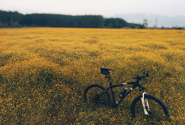 Get Started with Mountain Biking This Summer A Mum Reviews