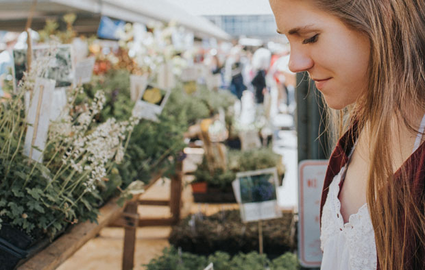 5 Tips for Gardening On A Budget A Mum Reviews