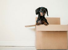 Rubbish Removal and Other Tips to Make Moving Day Go Smoothly A Mum Reviews