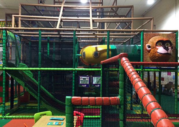 Sheffield Summer Fun - Dexter the Dinosaur & Monkey Bizzness A Mum Reviews