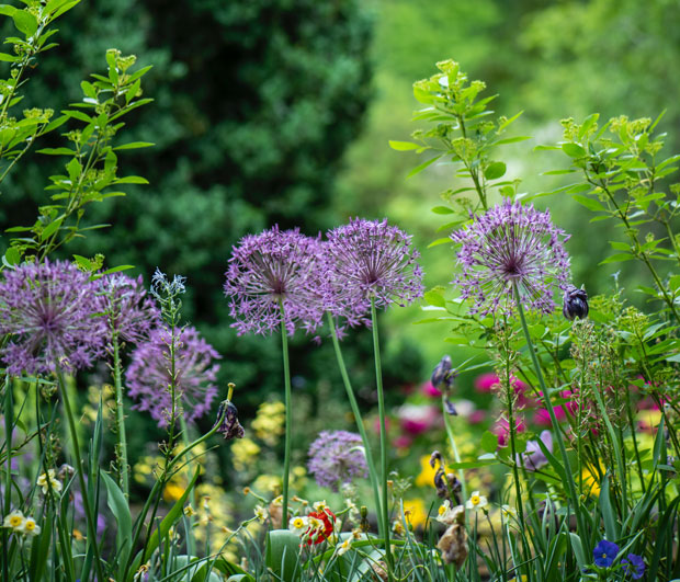 How Much Can Gardening Really Cost You in the UK? A Mum Reviews