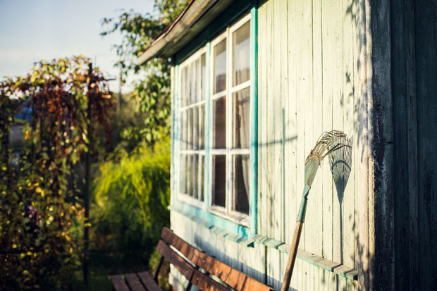 How Much Can Gardening Really Cost You in the UK? A Mum Reviews