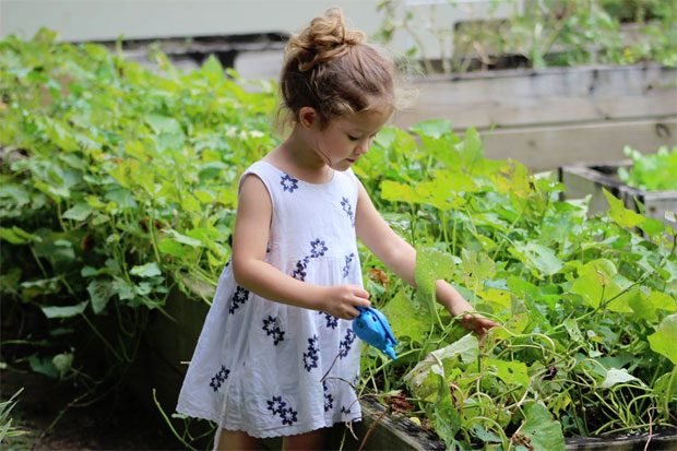 The Garden Classroom - Benefits of Gardening for Children A Mum Reviews