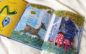 Book Review: Animalphabet by Julia Donaldson and Sharon King-Chai A Mum Reviews