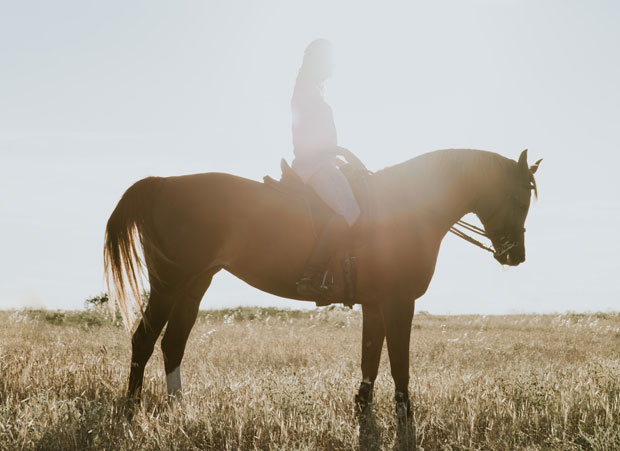 Horse Riding as a Child and as an Adult - My Experiences A Mum Reviews
